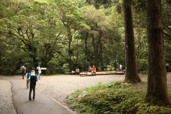 新北健行｜滿月圓國家森林遊樂區｜簡單負離子步道行程1574537