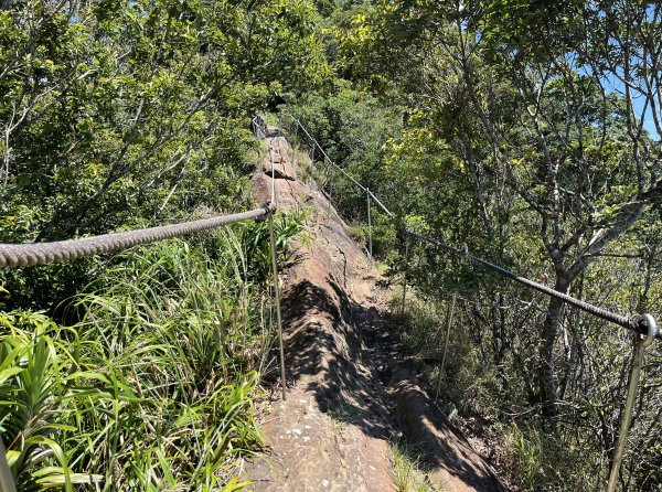 [微笑山線_第九段] 2025_0914 二格山系_天王峰2889619