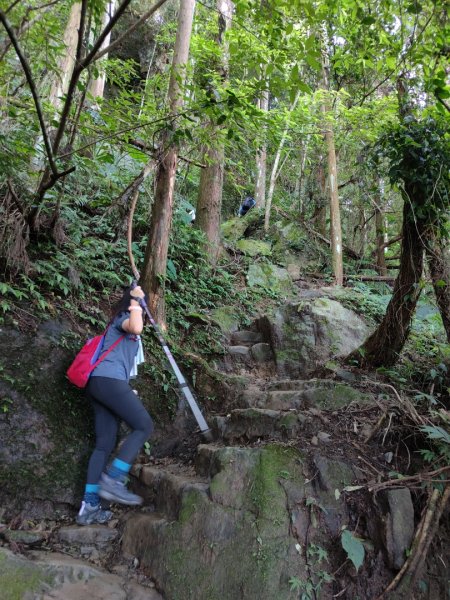 2023.08.13 新竹五指山（中指峰來回）2452309