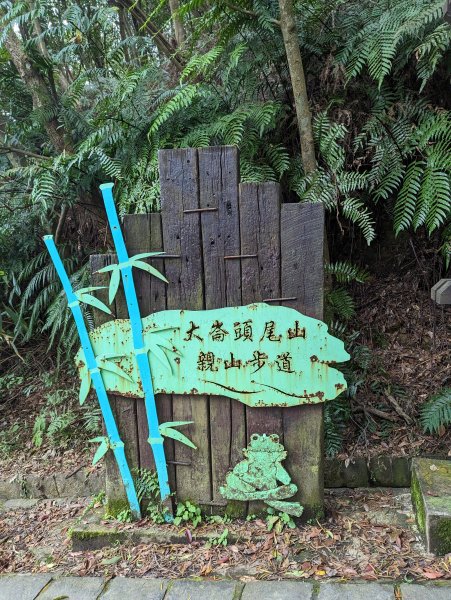 2023-01-23 劍潭山、大崙頭尾山親山步道2792366