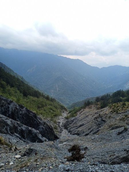 190414-奇萊南峰、南華山1650123