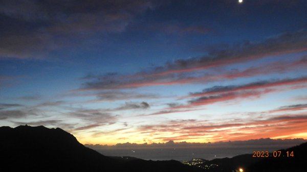 雲山水花鳥蝶 - 天龍國阿伯的日常，沒鳥也沒蝶槓龜 7/14&172217405