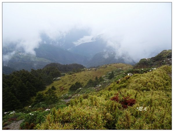 合歡石門山步道907851