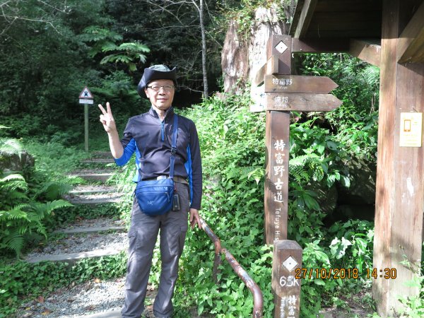 特富野古道449288