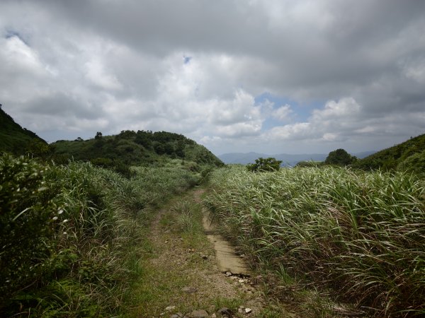 [淡蘭古道] 2026_0531 北路第一段_燦光寮古道(中)-陡坡3070886