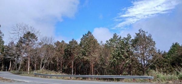 2025 3/1 三星山2723839