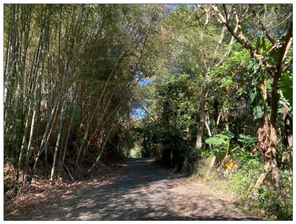 鳳凰谷步道(鹿谷鄉)2690453