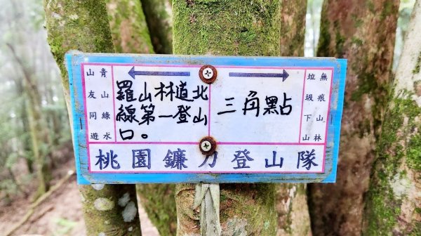 【中級山】來過一次，你不會忘記它的名字，新竹油羅山2743752