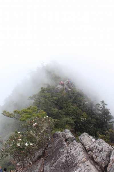 20210410台中鳶嘴山稍來山縱走1348461