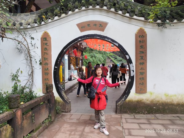 四川青城山→樂山市2938155