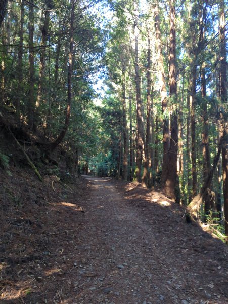 2025.12.06－北坑山步道&雪見遊憩區2956237