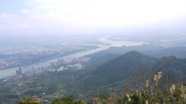 觀音山登山健行趣(小百岳05號)1632383