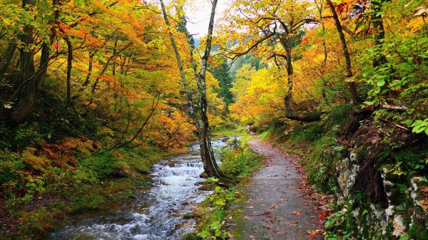 山形縣銀山溫泉2929648
