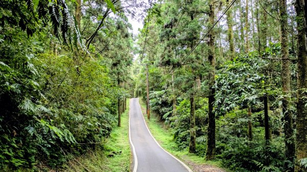 坪溪古道,石空古道2873460