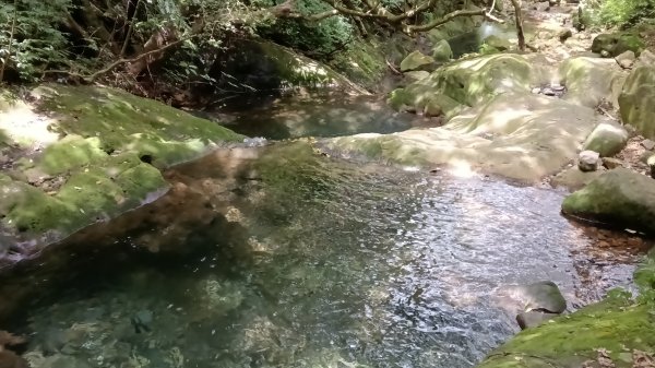三芝區竿尾崙古道-竿尾崙-清涼崙-大屯溪古道O型3095644