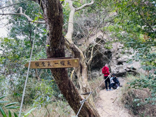 1120226獵鷹尖.一線天｜梅峰-福光山-飯包尖山2042578