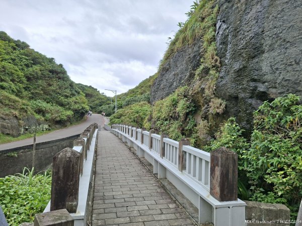 《新北》山海稜線｜瑞芳鼻頭角步道O繞202609183120105