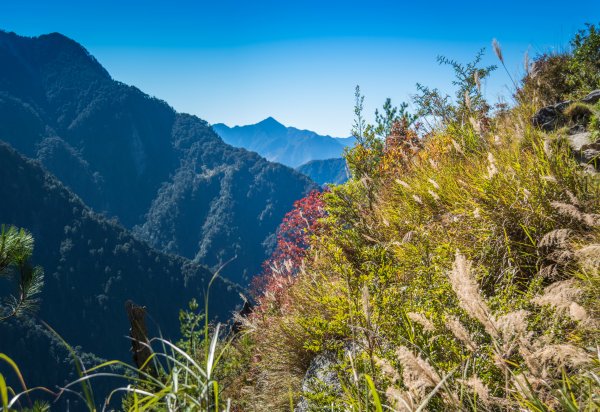 玉山北峰～讓我爬到流淚的碎石坡1796076