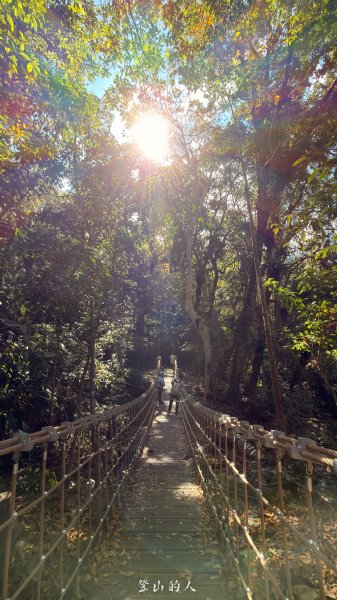 雪山坑環線步道2988749