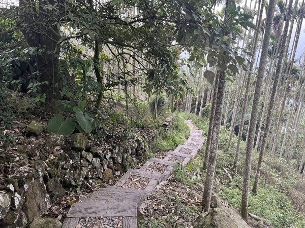 2023_0429_挑筍古道2138299