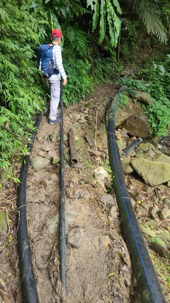 2025-01232淡蘭古道北二段(燦光寮古道到澳底)2696557