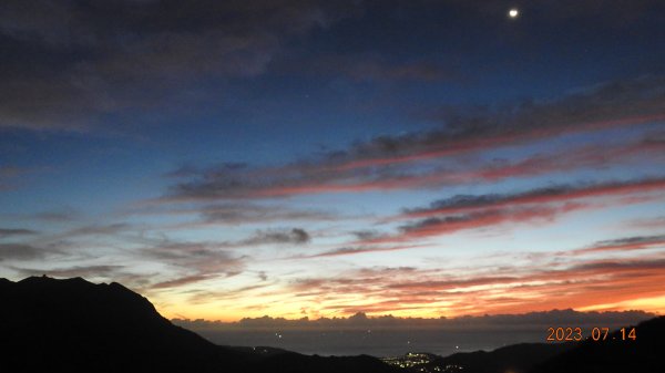 雲山水花鳥蝶 - 天龍國阿伯的日常，沒鳥也沒蝶槓龜 7/14&172217406