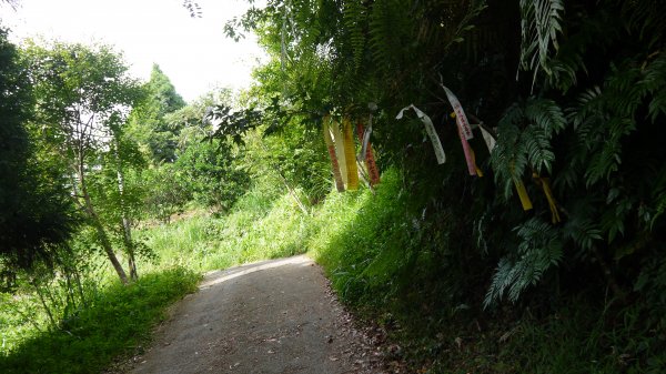 鵝公髻山登山健行趣(小百岳31號)1524801