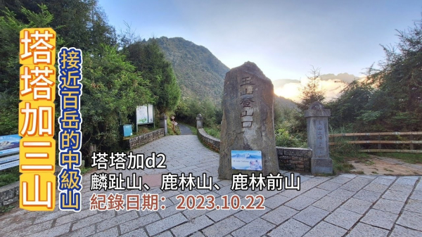 「塔塔加三山」全攻略,接近百岳高度的中級山,[麟趾山]、[鹿林山]、[鹿林前山],就在玉山登山口,巧遇菊池氏龜殼花,塔塔加d2
