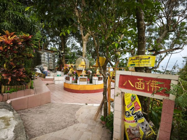 20260126微笑山線烘爐地段2989053