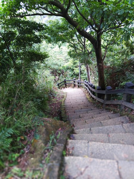 城市裡就能感受山林綠意~象山親山步道778669