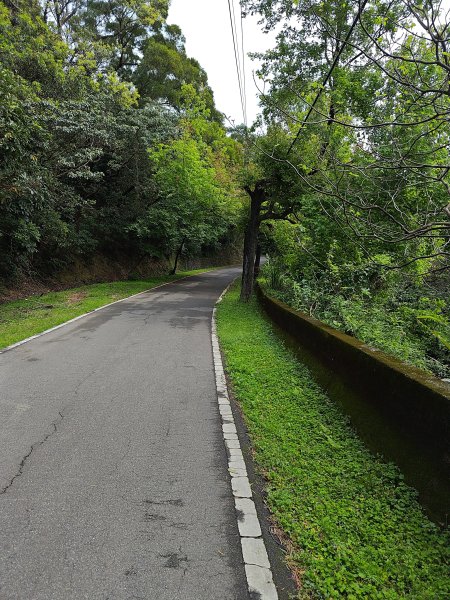 20260321大棟山系-百年大榕樹段3019049