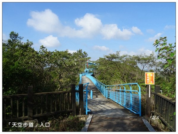 虎頭崁山/九華山天空步道1522586