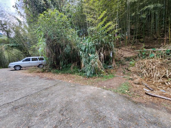 20251228溪頭山龍鳳山嶺頭山O型2992362