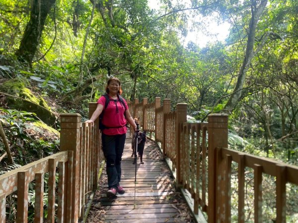 苗栗縣獅潭鄉鳴鳳古道O型縱走2802513