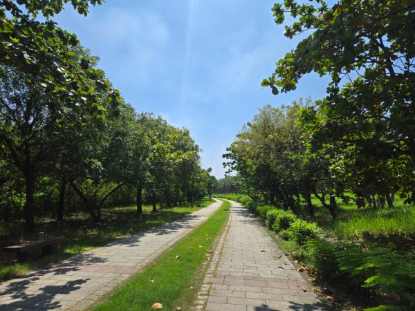 高雄都會公園3119764