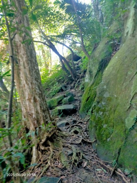 白石湖+打鐵寮古道2824169