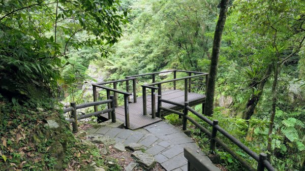 福山部落,內洞森遊區2552470