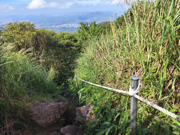 [百山百鳥尋旅-11/15] 2025_0927 大屯主峰-連峰步道_大屯山南峰2899388