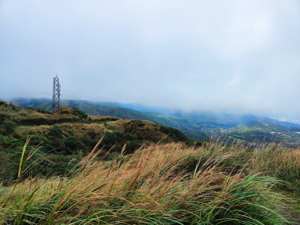 苗圃上七星下冷水坑2647503