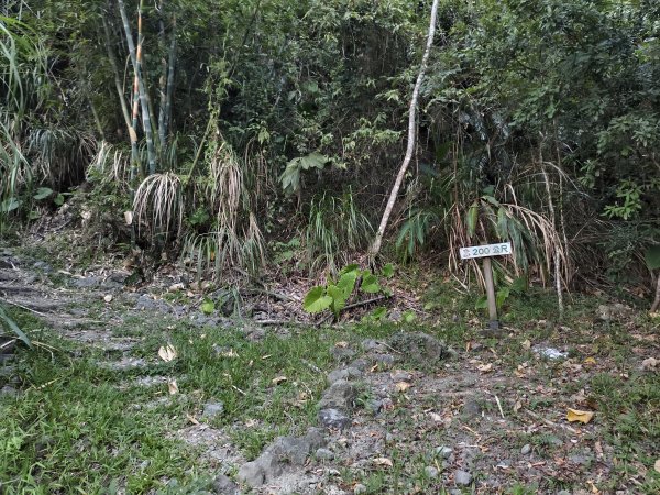 [漫遊縱谷 愛在花東-09/10] 2025_1012 米棧古道2913549