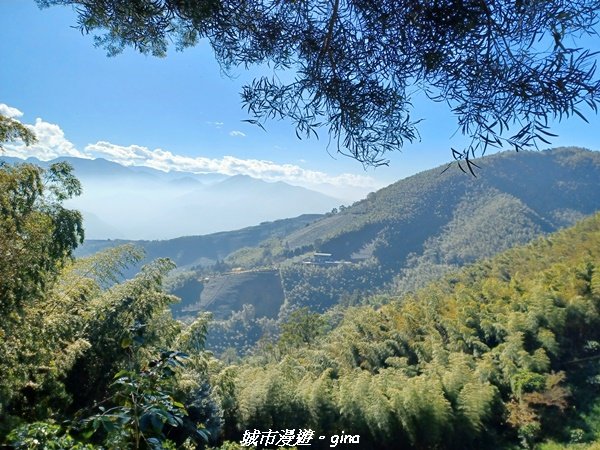 【嘉義梅山】悠閒踏青趣。 雲嘉大尖山、二尖山步道2447268