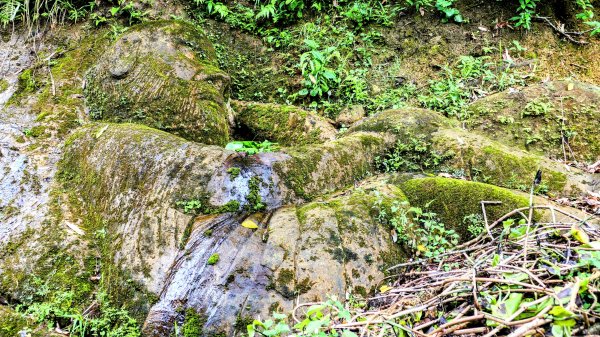 五堵獅頭山2810524