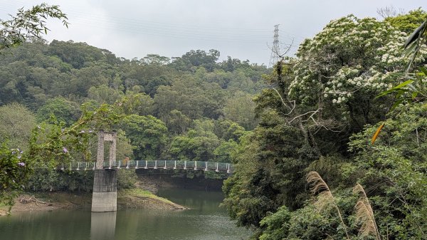 115.04.18寶山水庫+5連群峰之旅封面
