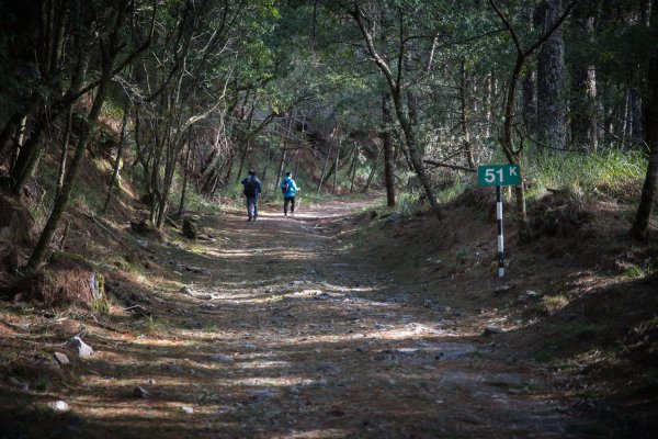 大雪山200林道 - 北三錐山1493242