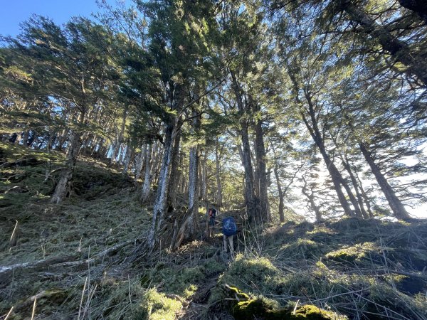 干卓萬橫斷 2024 11/29 四天三夜2865570