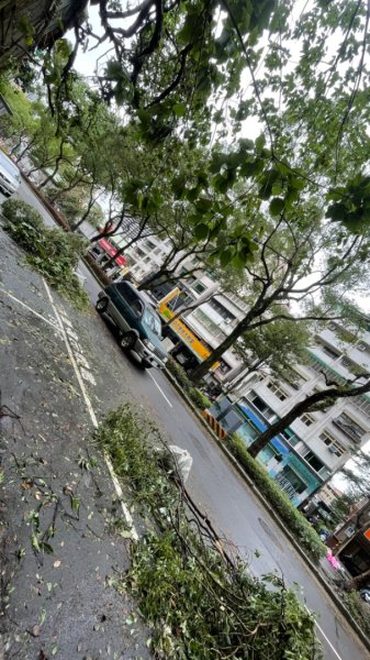 災後紅河谷越嶺小獅山仙跡岩觀音山路況2641449