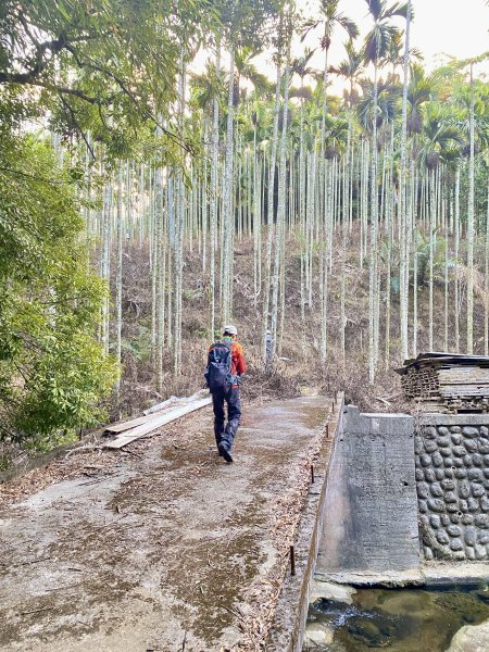 三義基石巡禮--內雙坑山.關刀山西北峰.大草排山.三十二分山.十六分山   2024.1.42393869