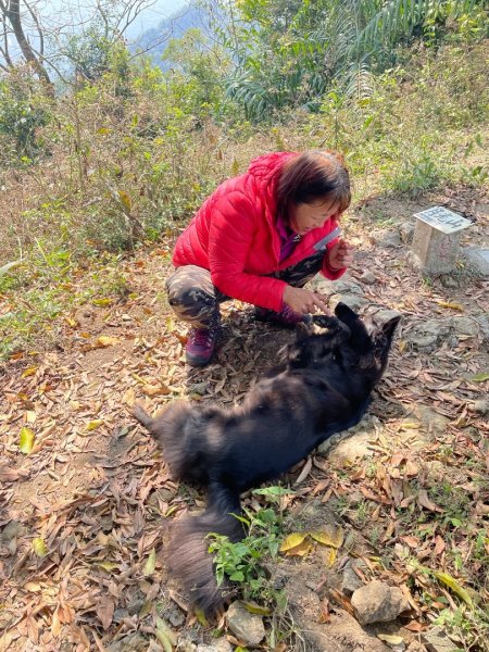 高雄美濃月光山2734949