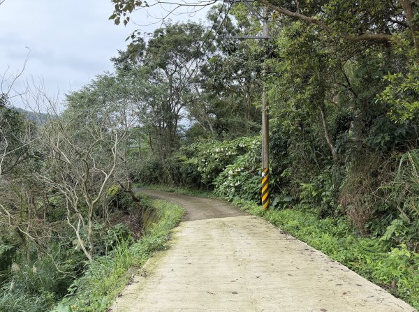 [樟之細路_第二大段RSA17] 2026_0328 飛鳳古道3026073