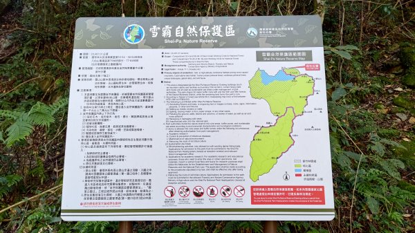 大霸群峰登山步道(大鹿林道線)2911400